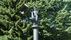 Gänsereiterdenkmal Höntrop | <a class="print" href="#" onclick="return hs.printImage(this)">Bild drucken</a>